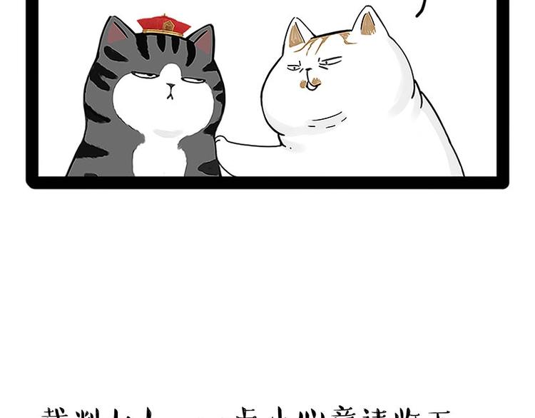 🍘吾皇巴扎黑 第167话 猫王争霸赛 第12页