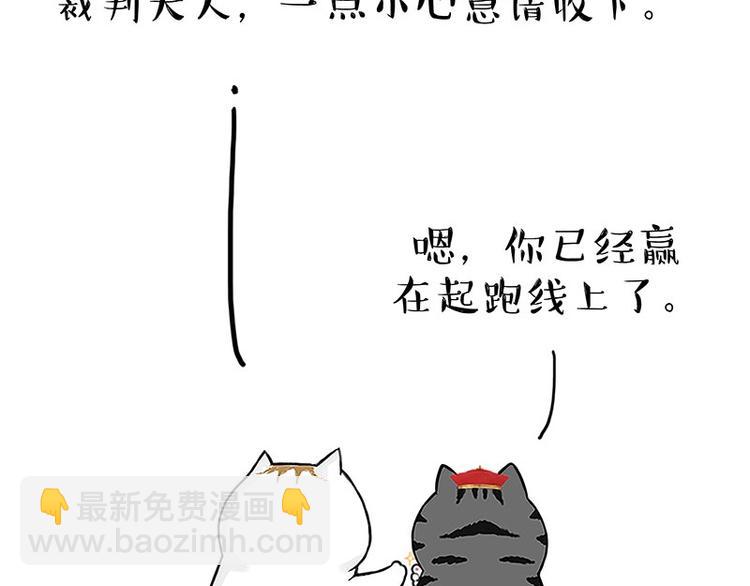 🍘吾皇巴扎黑 第167话 猫王争霸赛 第13页
