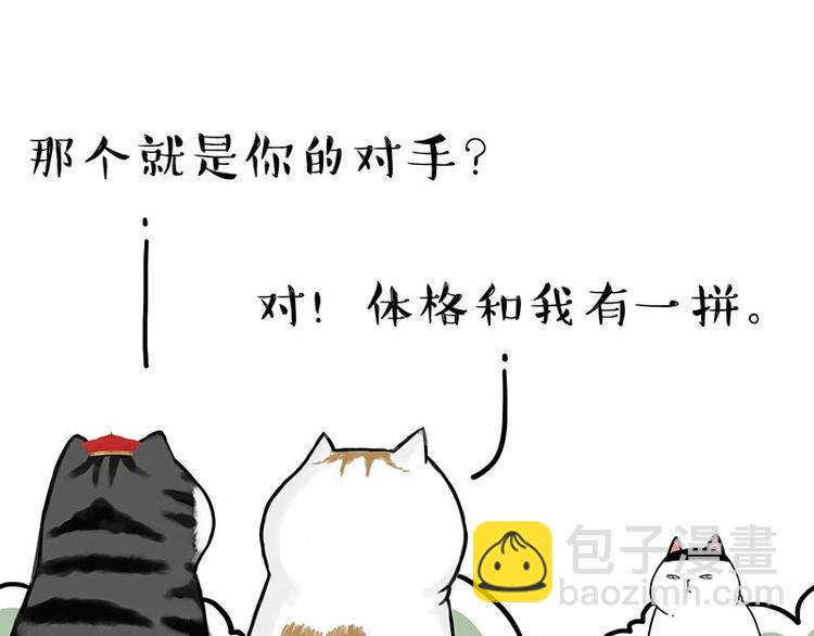 🍘吾皇巴扎黑 第167话 猫王争霸赛 第15页