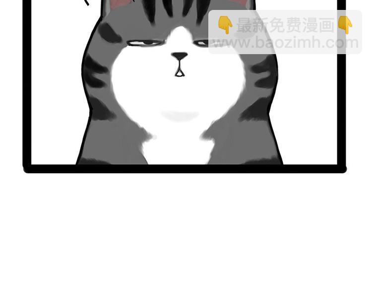 🍘吾皇巴扎黑 第167话 猫王争霸赛 第17页