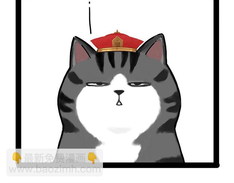 🍘吾皇巴扎黑 第167话 猫王争霸赛 第20页