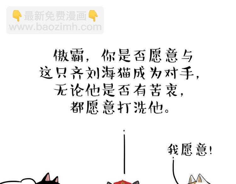🍘吾皇巴扎黑 第167话 猫王争霸赛 第21页