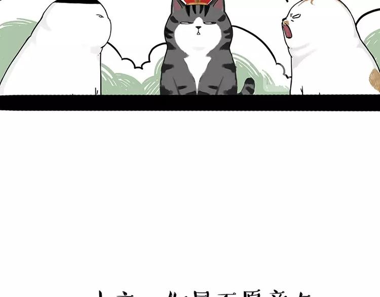 🍘吾皇巴扎黑 第167话 猫王争霸赛 第22页