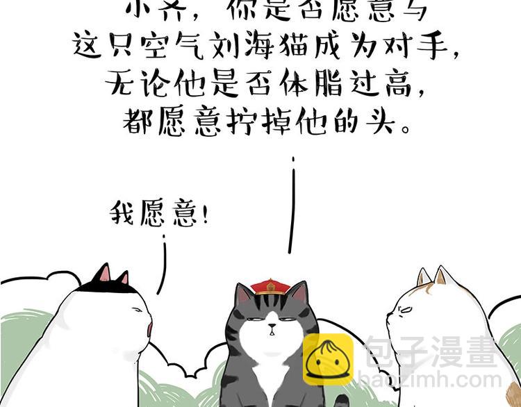 🍘吾皇巴扎黑 第167话 猫王争霸赛 第23页