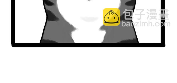 🍘吾皇巴扎黑 第167话 猫王争霸赛 第27页