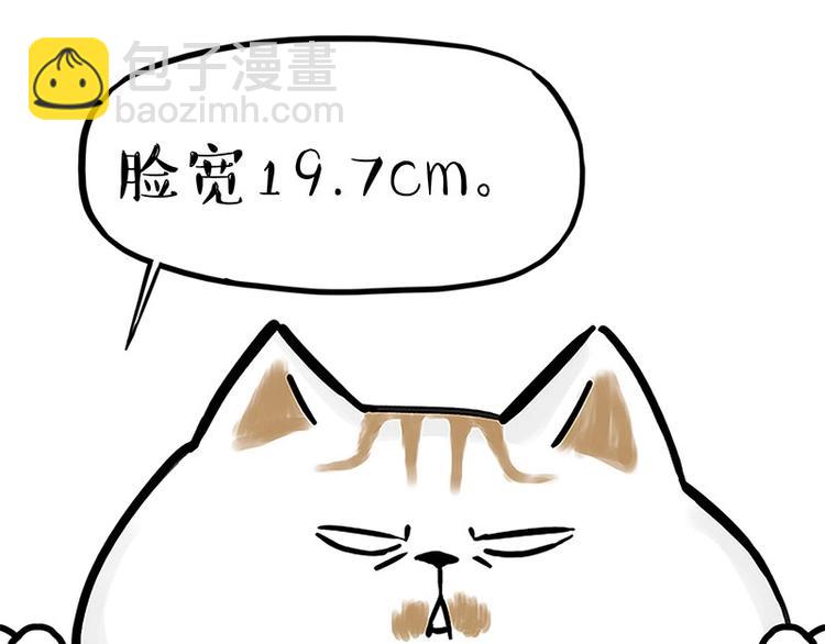 🍘吾皇巴扎黑 第167话 猫王争霸赛 第28页