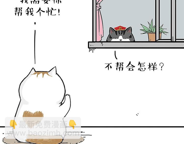 🍘吾皇巴扎黑 第167话 猫王争霸赛 第3页