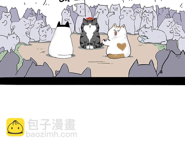 🍘吾皇巴扎黑 第167话 猫王争霸赛 第32页