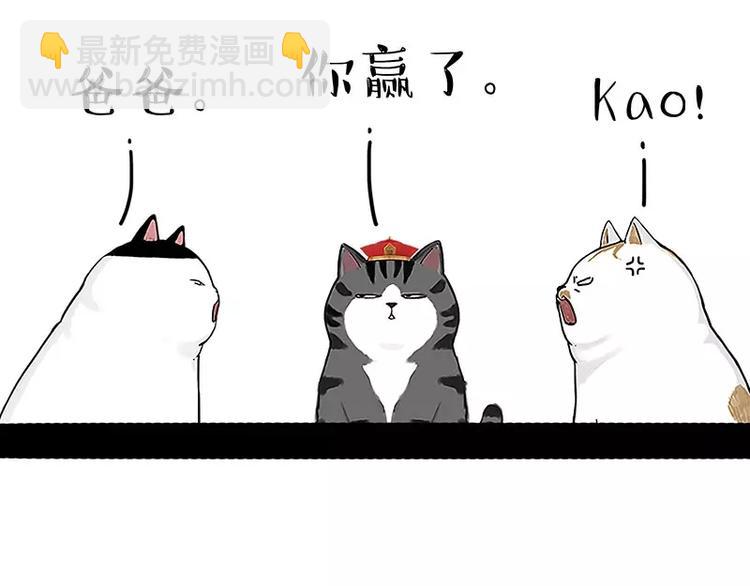 🍘吾皇巴扎黑 第167话 猫王争霸赛 第35页