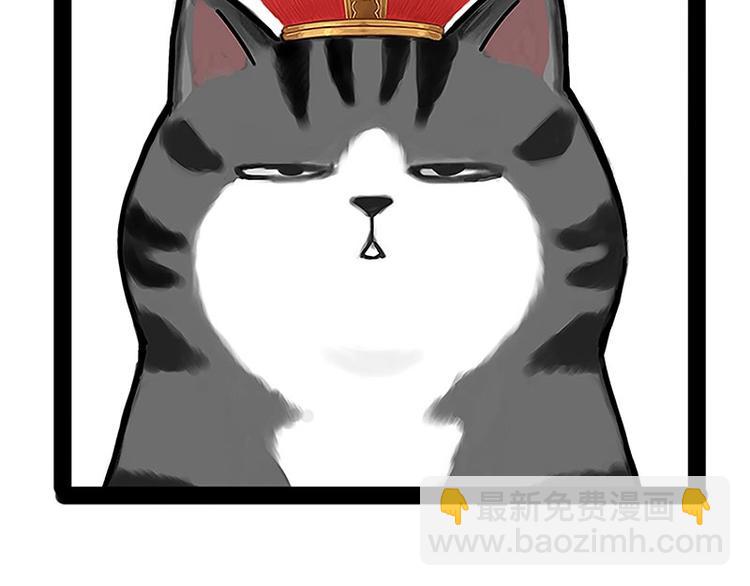 🍘吾皇巴扎黑 第167话 猫王争霸赛 第37页