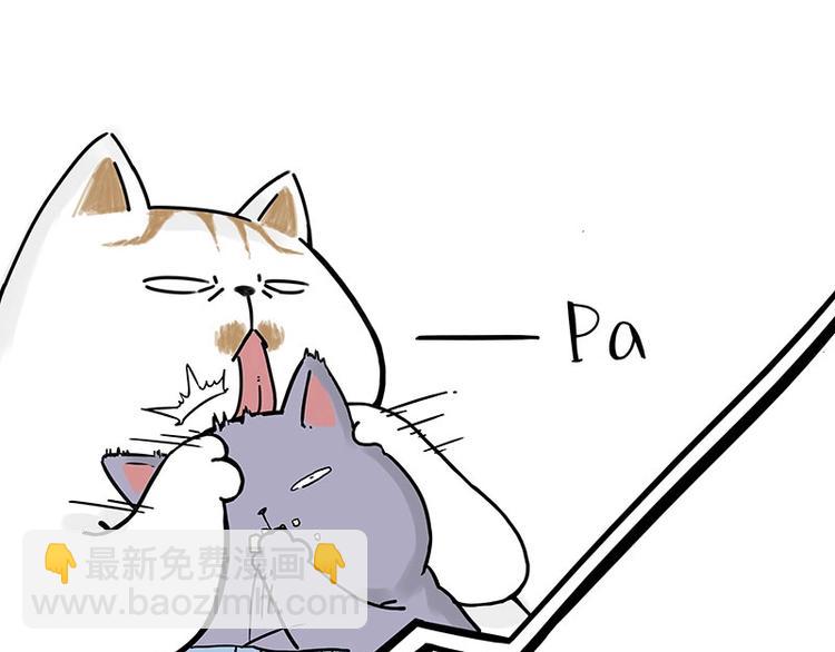 🍘吾皇巴扎黑 第167话 猫王争霸赛 第40页