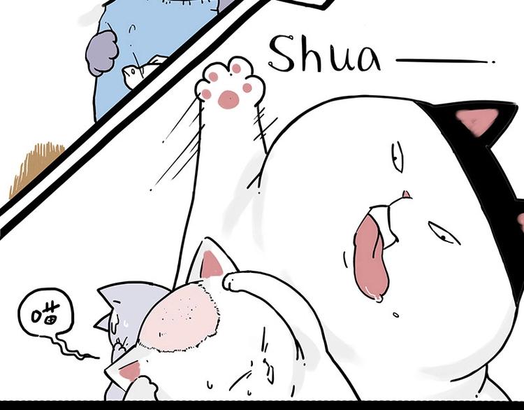 🍘吾皇巴扎黑 第167话 猫王争霸赛 第41页