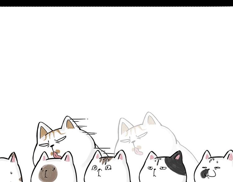 🍘吾皇巴扎黑 第167话 猫王争霸赛 第42页