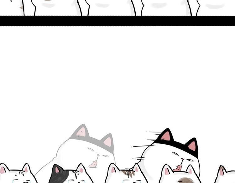 🍘吾皇巴扎黑 第167话 猫王争霸赛 第43页