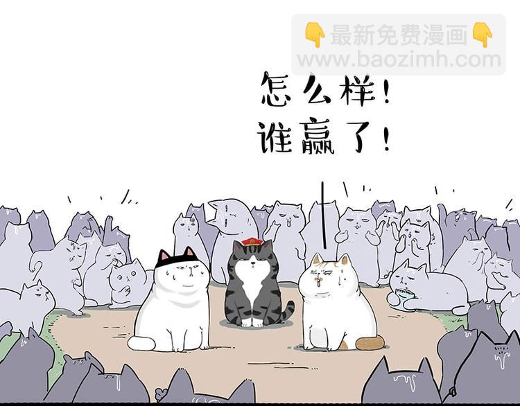 🍘吾皇巴扎黑 第167话 猫王争霸赛 第45页