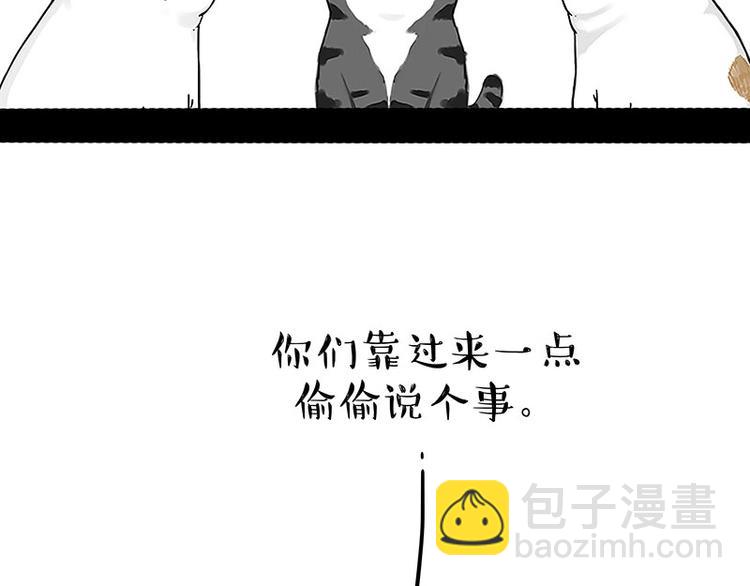 🍘吾皇巴扎黑 第167话 猫王争霸赛 第47页