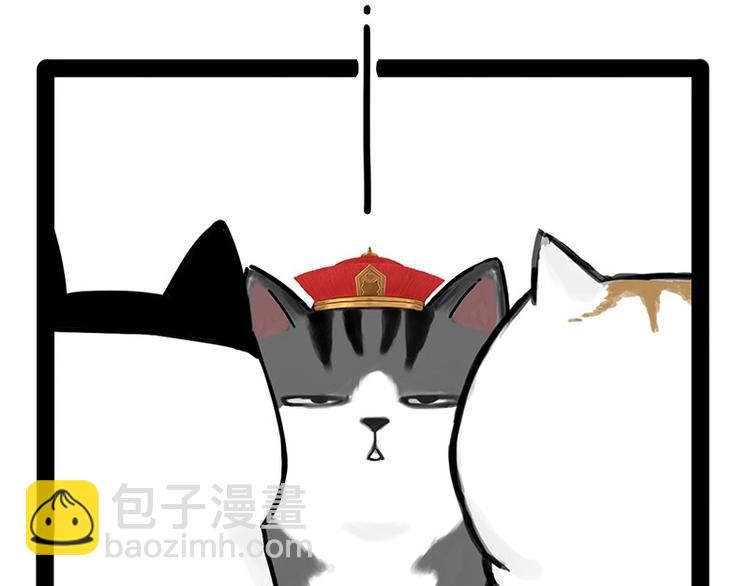 🍘吾皇巴扎黑 第167话 猫王争霸赛 第49页