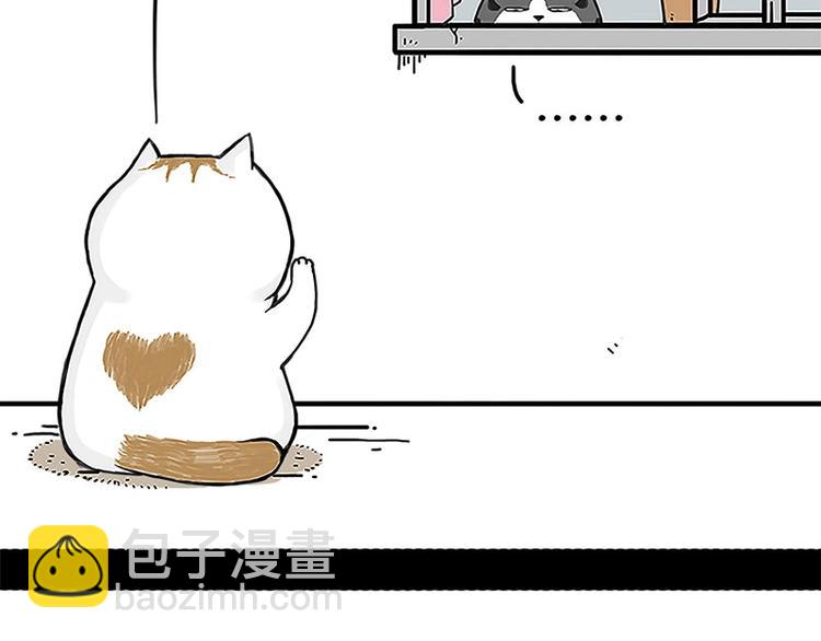 🍘吾皇巴扎黑 第167话 猫王争霸赛 第5页