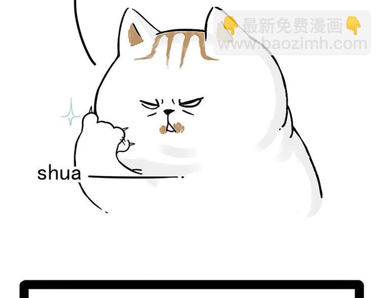 🍘吾皇巴扎黑 第167话 猫王争霸赛 第8页