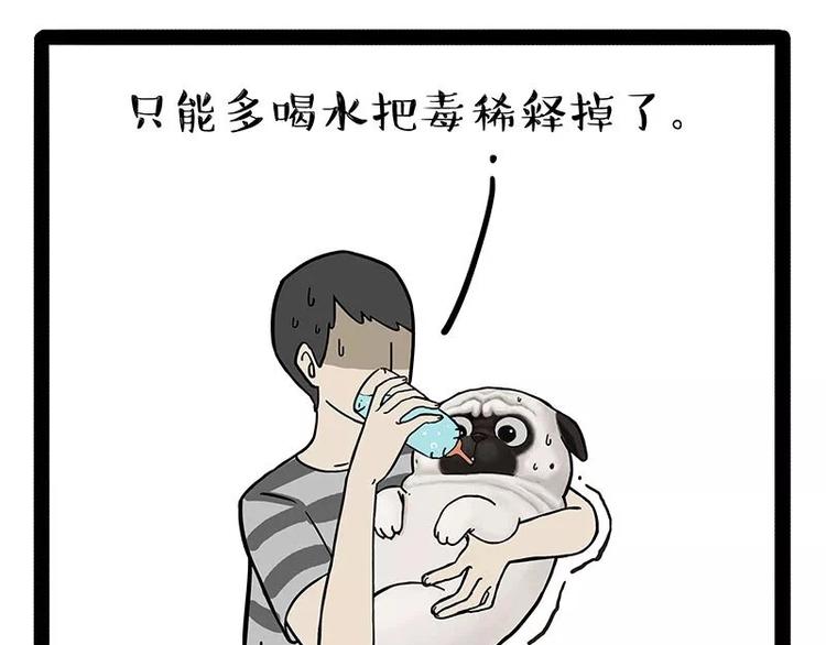 🍘吾皇巴扎黑 第169话 巴扎黑中毒了？！ 第13页