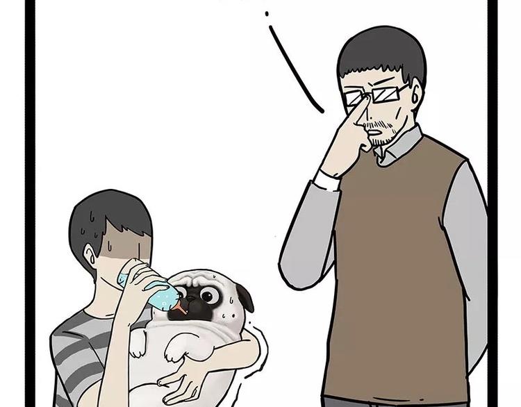 🍘吾皇巴扎黑 第169话 巴扎黑中毒了？！ 第15页