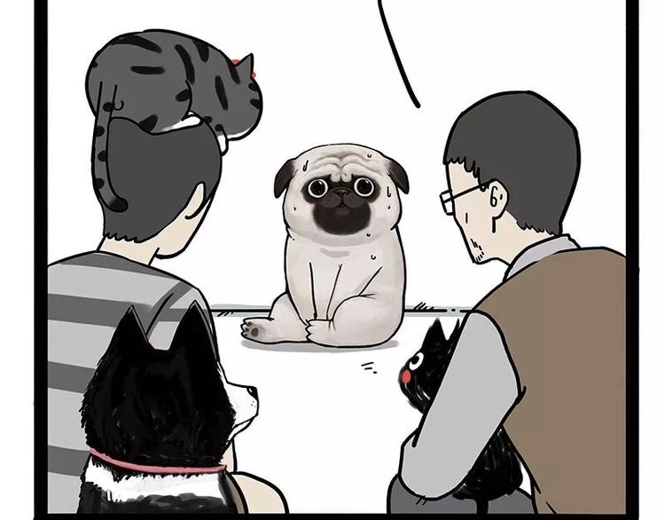 🍘吾皇巴扎黑 第169话 巴扎黑中毒了？！ 第19页