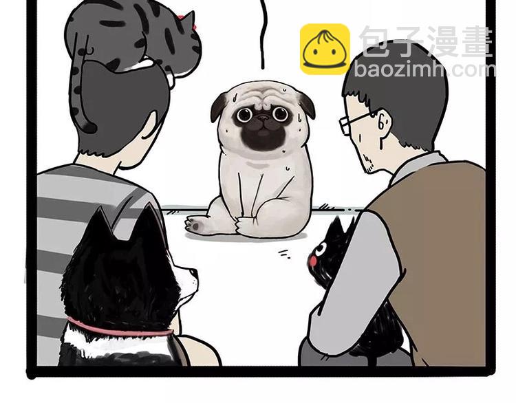 🍘吾皇巴扎黑 第169话 巴扎黑中毒了？！ 第21页
