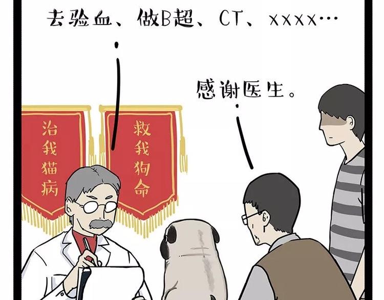 🍘吾皇巴扎黑 第169话 巴扎黑中毒了？！ 第31页