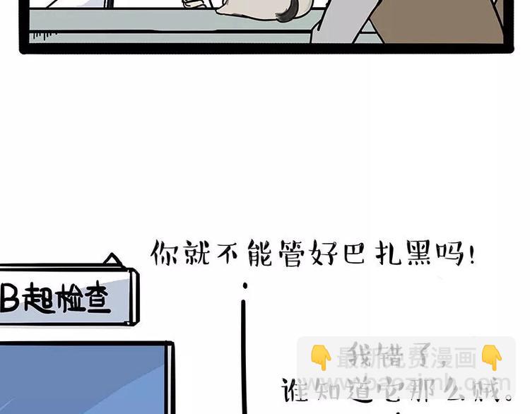 🍘吾皇巴扎黑 第169话 巴扎黑中毒了？！ 第32页