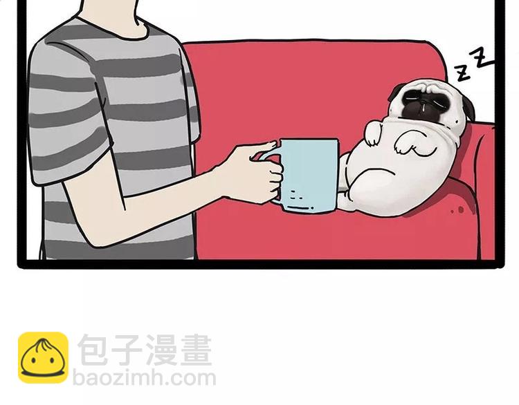 🍘吾皇巴扎黑 第169话 巴扎黑中毒了？！ 第5页