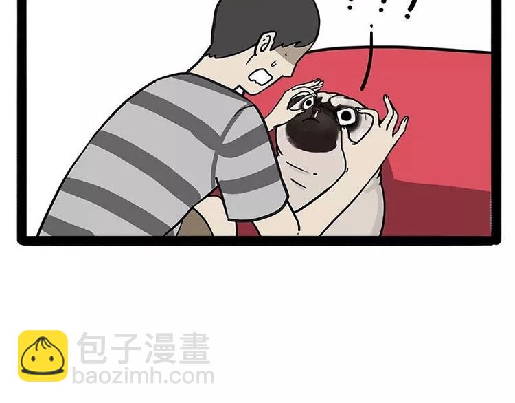 🍘吾皇巴扎黑 第169话 巴扎黑中毒了？！ 第7页