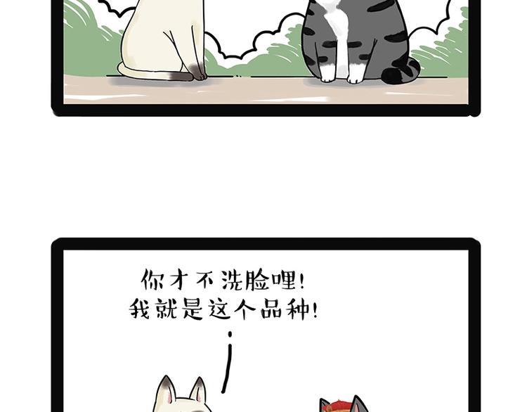🍘吾皇巴扎黑 第171话 不许你走！ 第13页