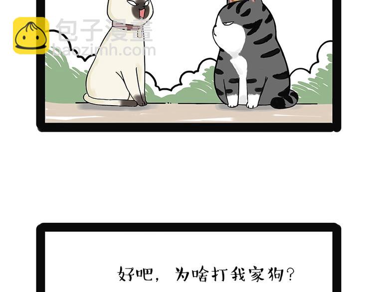 🍘吾皇巴扎黑 第171话 不许你走！ 第14页