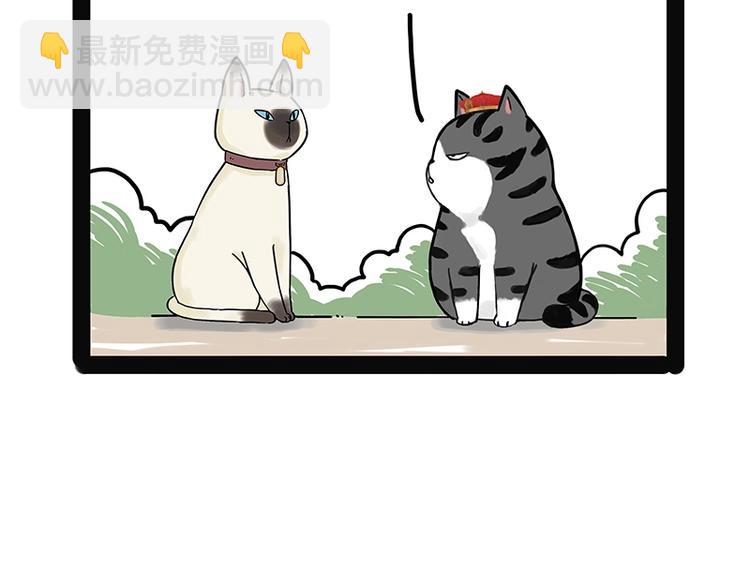 🍘吾皇巴扎黑 第171话 不许你走！ 第15页