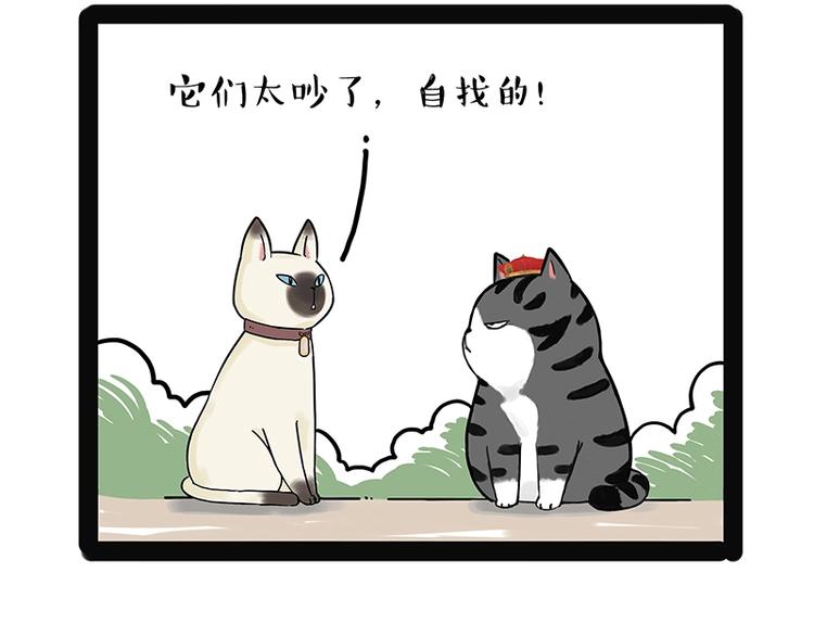 🍘吾皇巴扎黑 第171话 不许你走！ 第16页