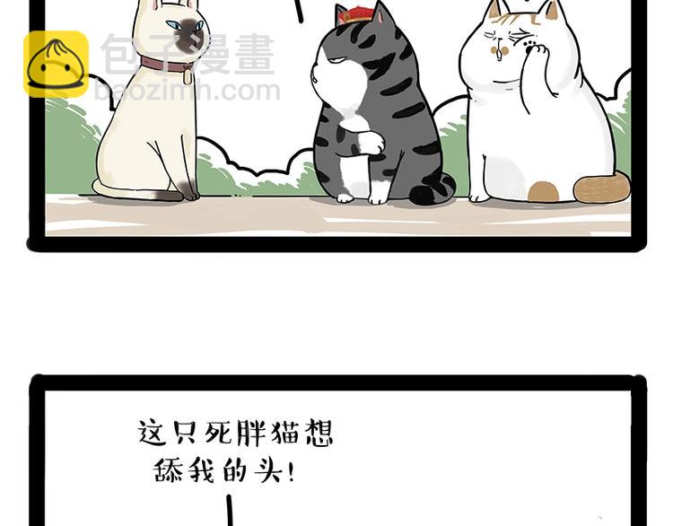 🍘吾皇巴扎黑 第171话 不许你走！ 第19页