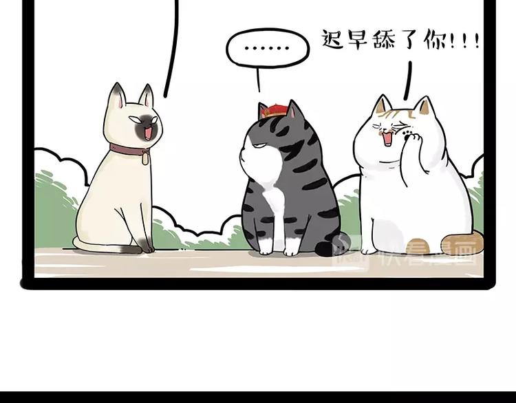 🍘吾皇巴扎黑 第171话 不许你走！ 第20页