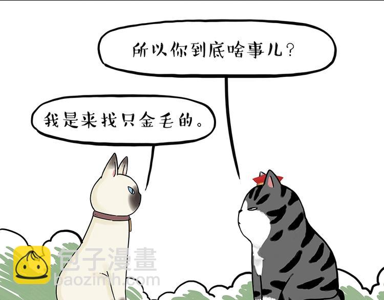 🍘吾皇巴扎黑 第171话 不许你走！ 第21页