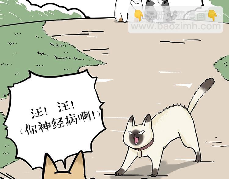 🍘吾皇巴扎黑 第171话 不许你走！ 第28页