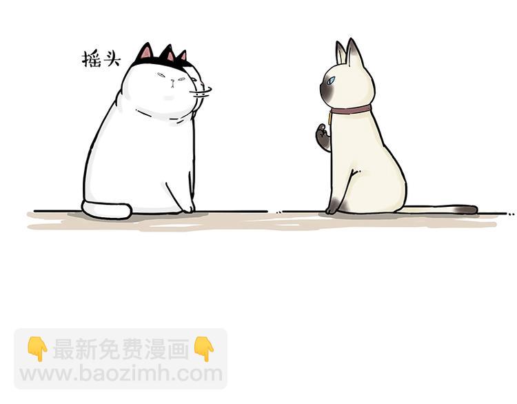 🍘吾皇巴扎黑 第171话 不许你走！ 第33页