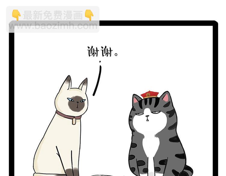 🍘吾皇巴扎黑 第171话 不许你走！ 第36页