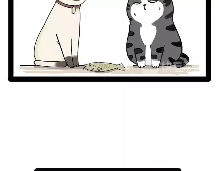 🍘吾皇巴扎黑 第171话 不许你走！ 第38页