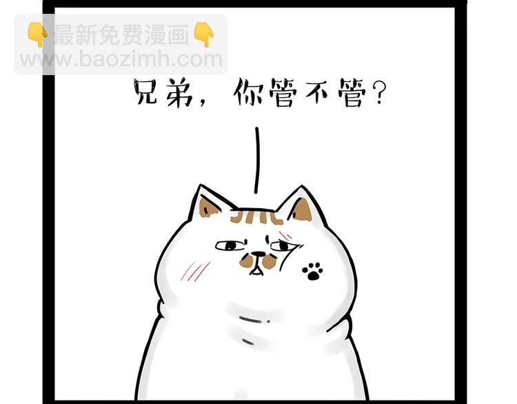 🍘吾皇巴扎黑 第171话 不许你走！ 第4页