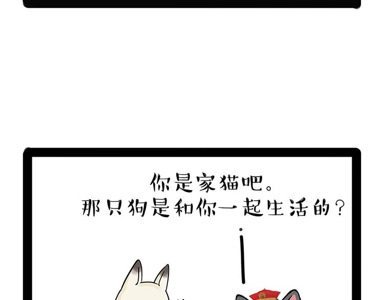 🍘吾皇巴扎黑 第171话 不许你走！ 第41页