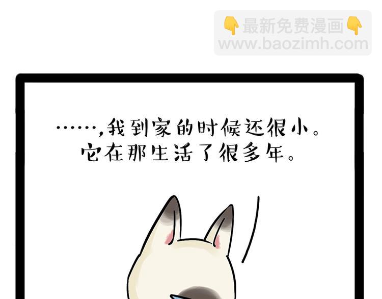 🍘吾皇巴扎黑 第171话 不许你走！ 第43页