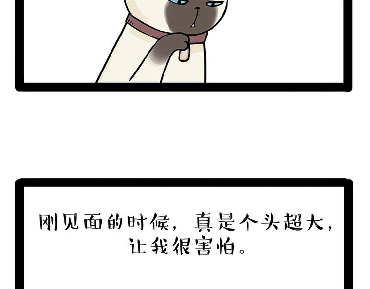 🍘吾皇巴扎黑 第171话 不许你走！ 第44页