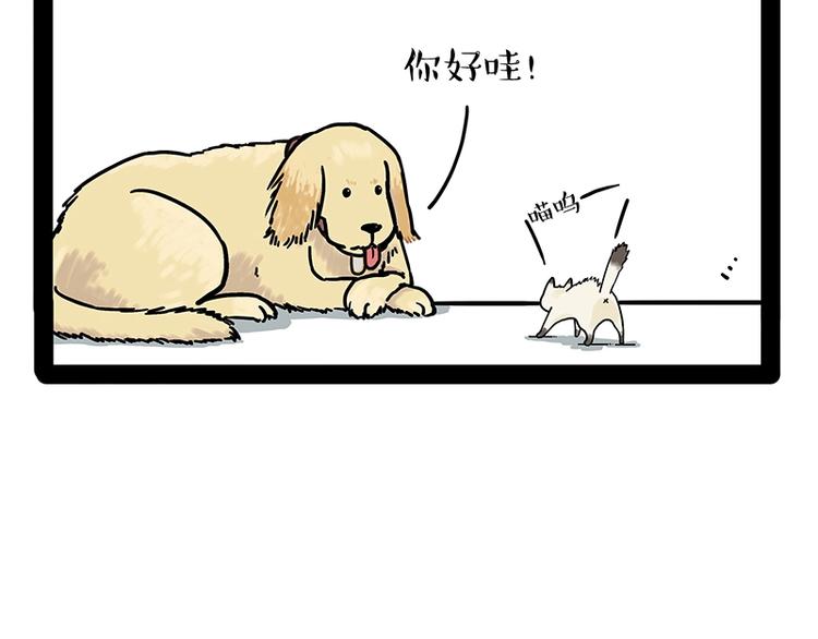 🍘吾皇巴扎黑 第171话 不许你走！ 第45页