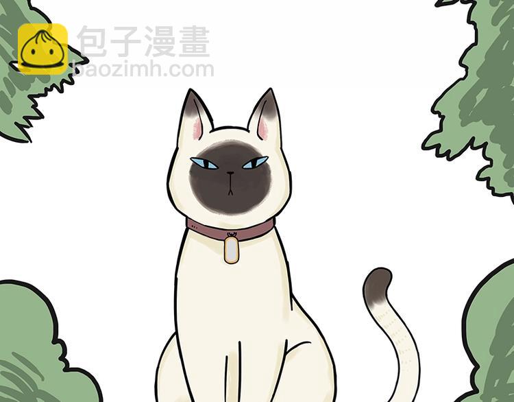 🍘吾皇巴扎黑 第171话 不许你走！ 第9页