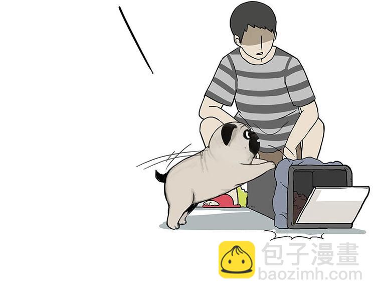 🍘吾皇巴扎黑 第173话 被抓到了吧~ 第11页