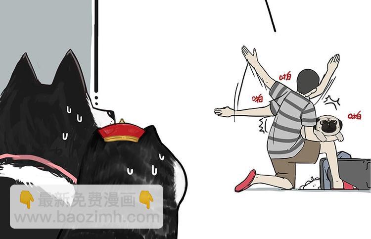 🍘吾皇巴扎黑 第173话 被抓到了吧~ 第14页